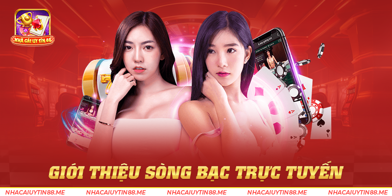 sòng bài