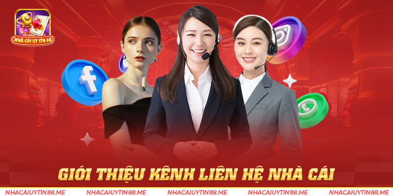 Liên hệ