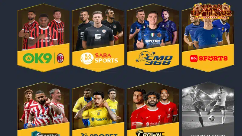 Cá cược thể thao chất lừ tại NEW88