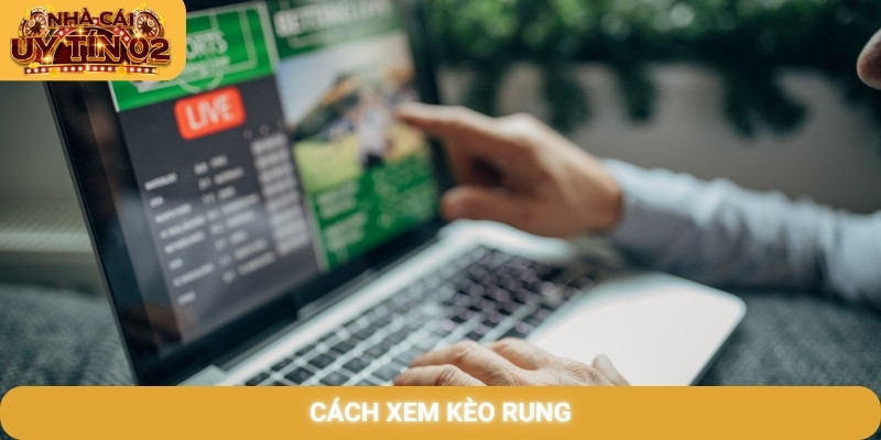 Cách xem kèo rung