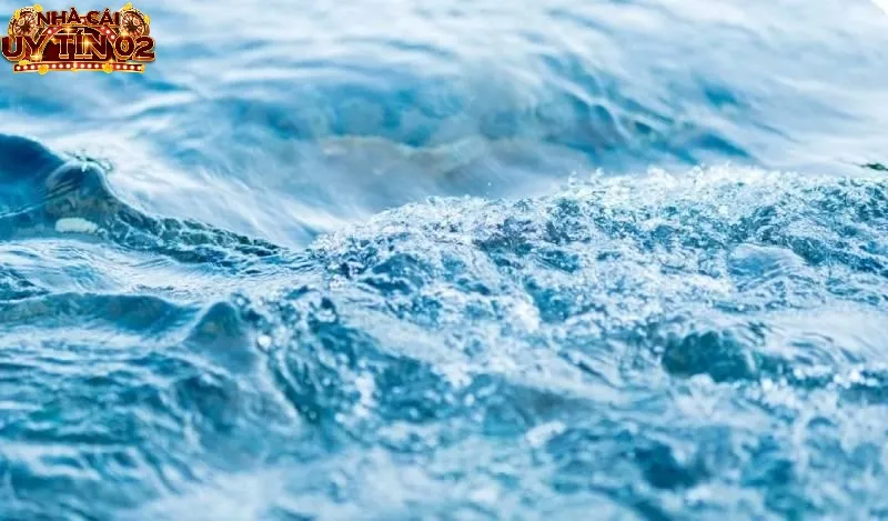 Chia sẻ kinh nghiệm nằm mơ thấy nước đánh số gì?