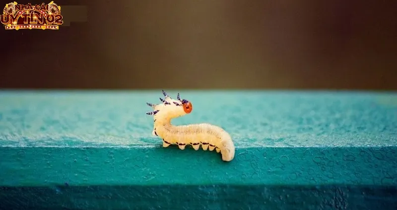 Giấc mộng thấy sâu xanh là điềm báo tốt đẹp