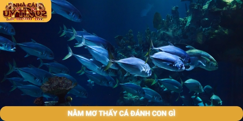 nằm mơ thấy cá đánh con gì