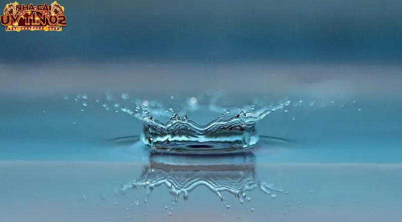 Nằm mơ thấy nước đánh số gì - trong các trường hợp đặc biệt