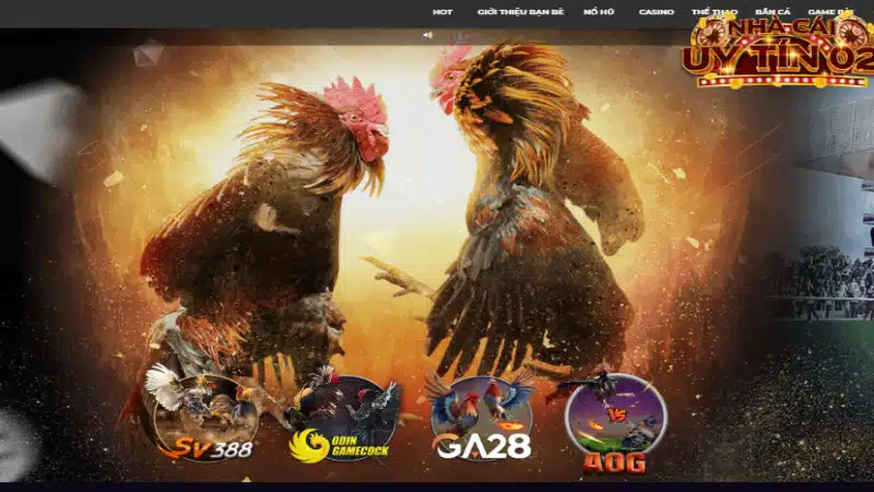 Nhà cái đá gà online DEBET