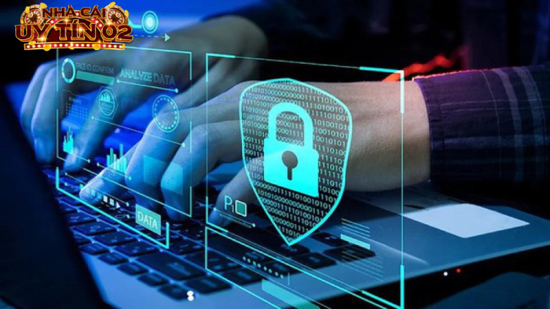 Quyền riêng tư tại Nhacaiuytin về thu nhập thông tin