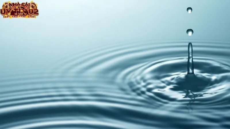 Tìm hiểu ý nghĩa tâm linh - nằm mơ thấy nước đánh số gì